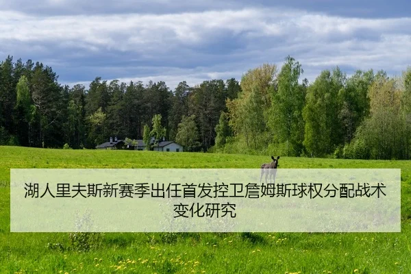hu-ren-li-fu-si-xin-sai-ji-chu-ren-shou-fa-kong-wei-zhan-mu-si-qiu-quan-fen-pei-zhan-shu-bian-hua-yan-jiu-2-371.jpg